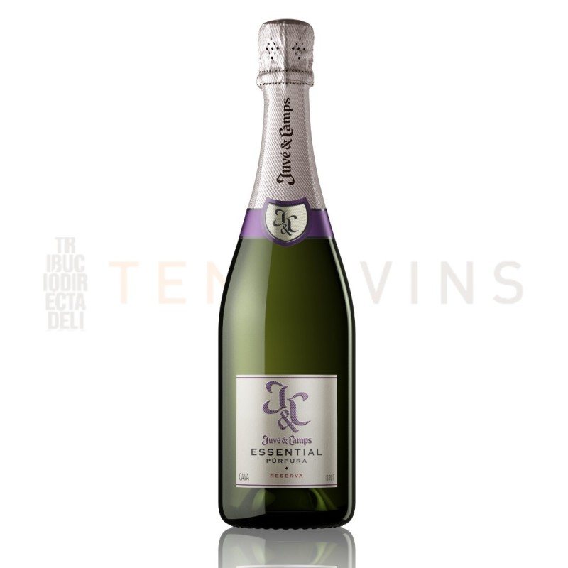 Cava Juve & Camps Essential Purpura Brut Reserva