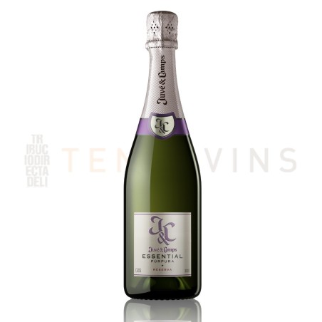 Cava Juve & Camps Essential Purpura Brut Reserva