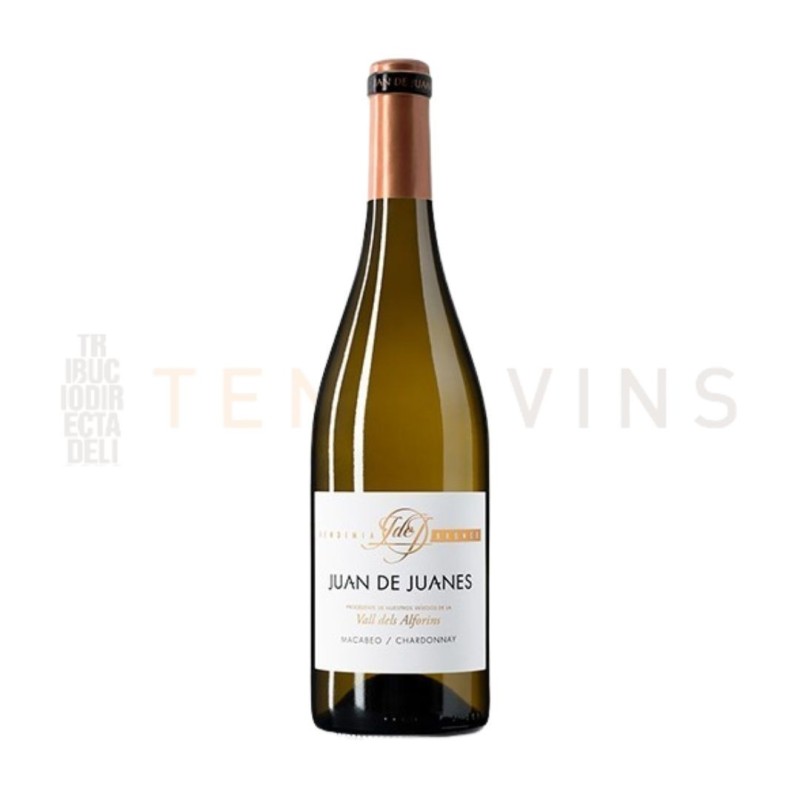 Juan de Juanes Blanco