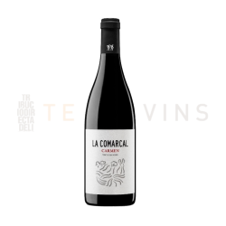 La Comarcal Carmen 2019