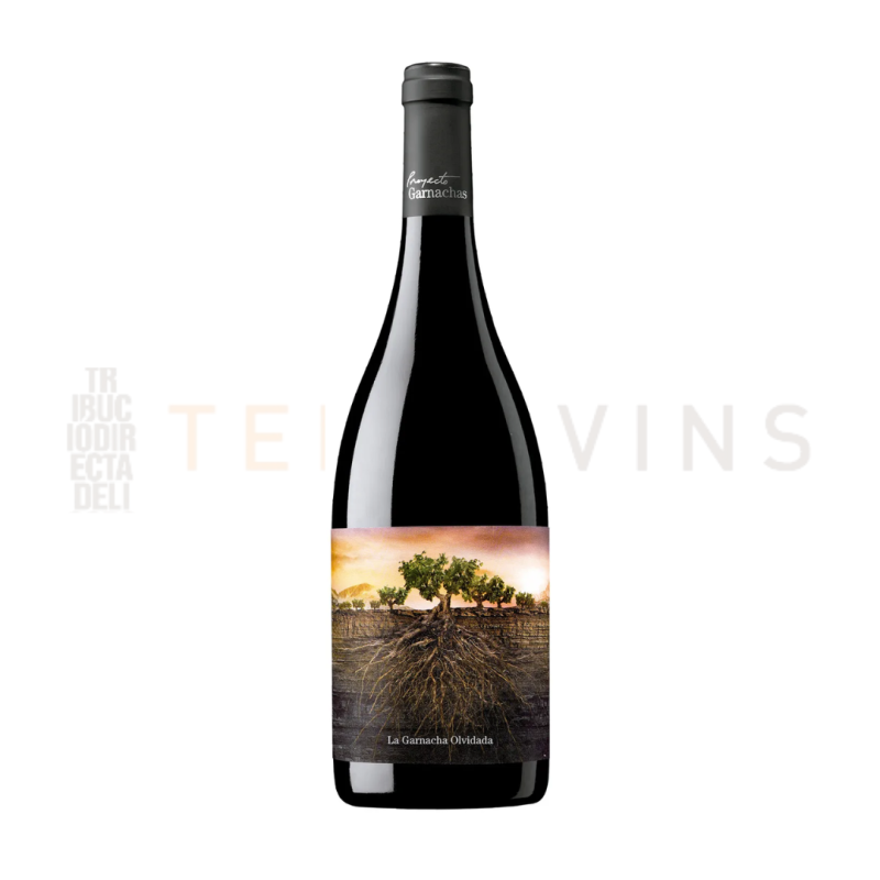 Garnacha Olvidada 2020