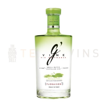 Gin G'Vine  Florasión