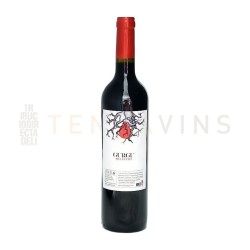 Gurgu Selecció 2020