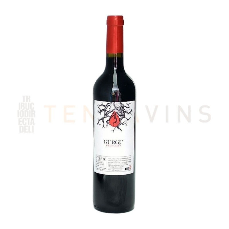 Gurgu Selecció 2020