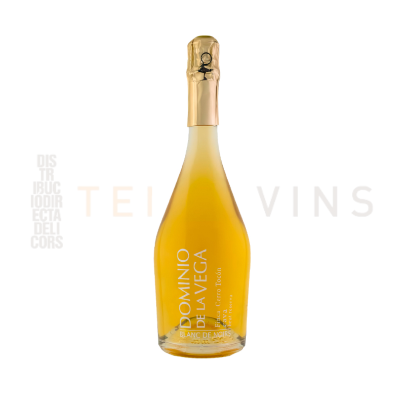 Cava Dominio de la Vega Cerro Tocón
