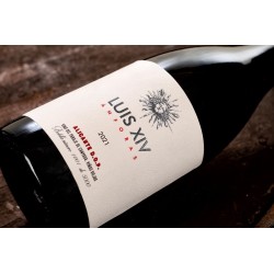 Luis XIV Ánforas 2021