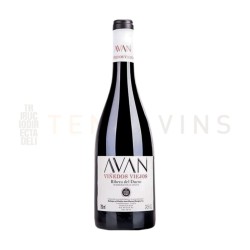 Avan Viñedos Viejos 2022