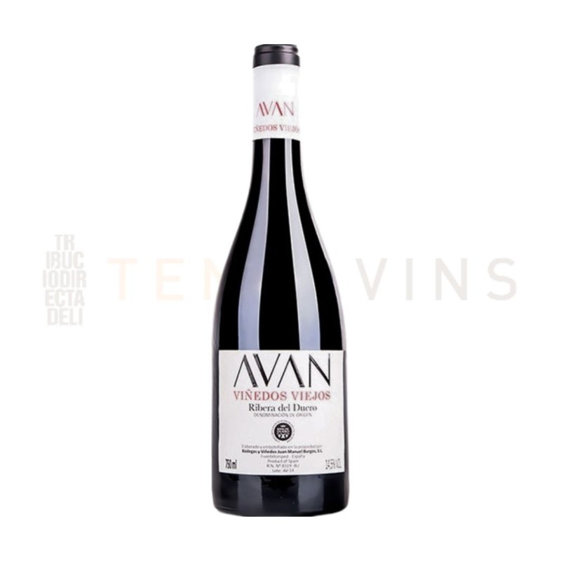 Avan Viñedos Viejos 2022