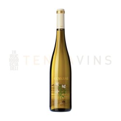 Vino Penedes Gessami 2023