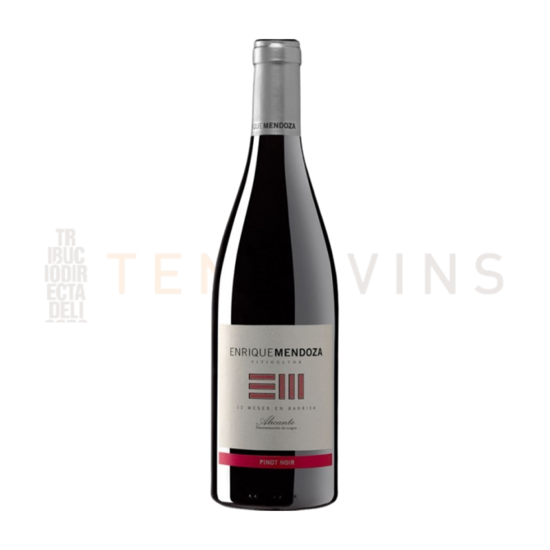 Enrique Mendoza Pinot Noir 2024