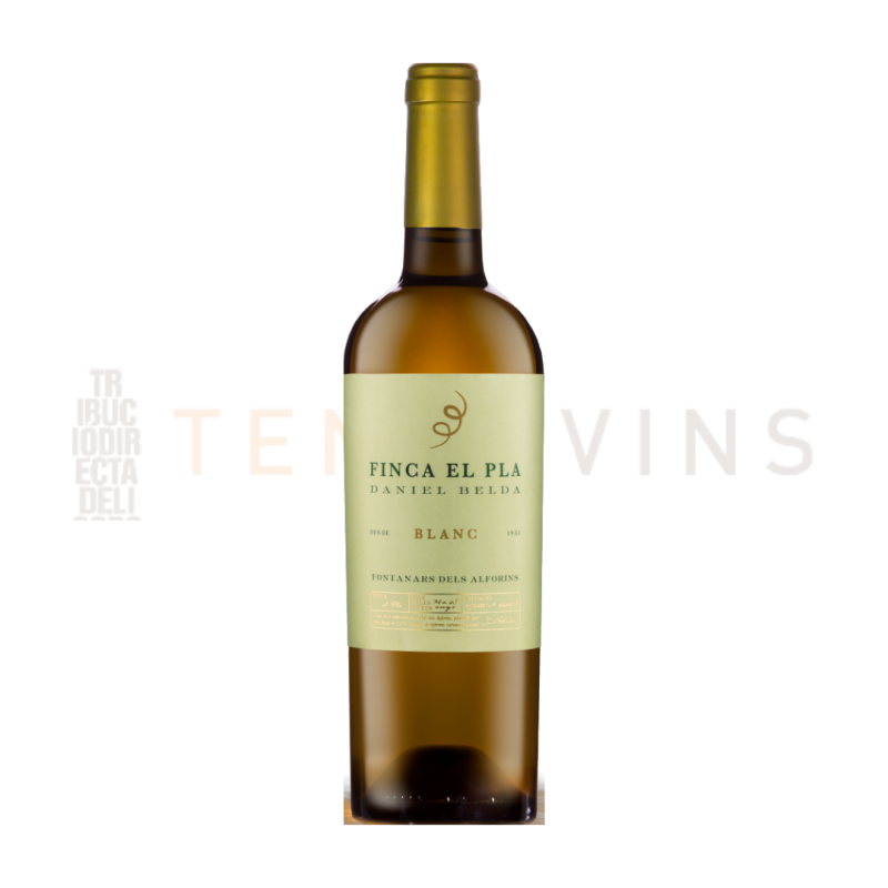 Daniel Belda Finca el Plà Blanc 2024