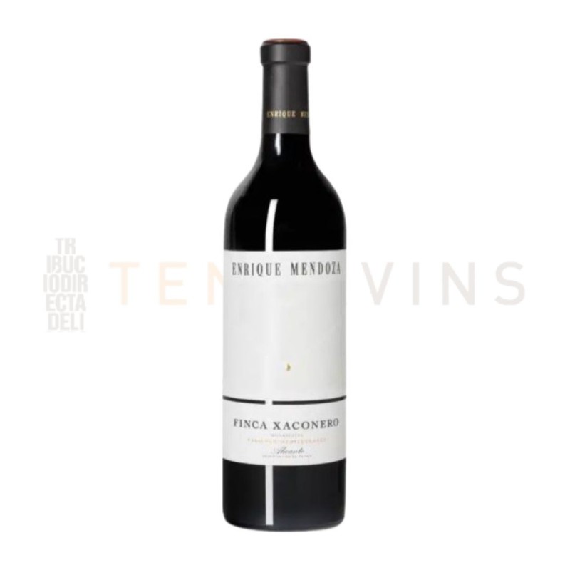 Enrique Mendoza Finca Xaconero 2021