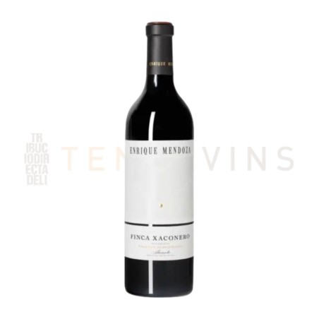 Enrique Mendoza Finca Xaconero 2021