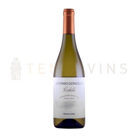 Vino Ribeiro Antonio Gonzalez Godello 2022