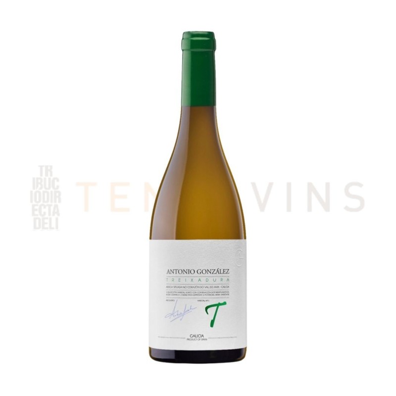 Antonio Gonzalez Treixadura 2023