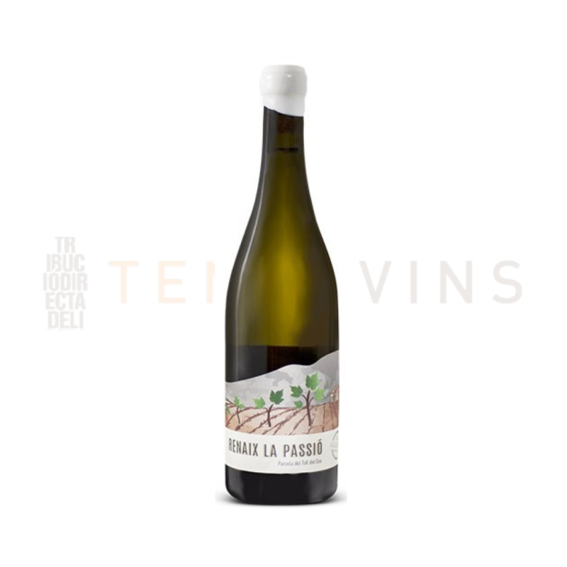 Renaix La Passió 2024