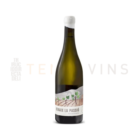 Renaix La Passió 2024