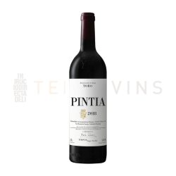 Pintia 2020