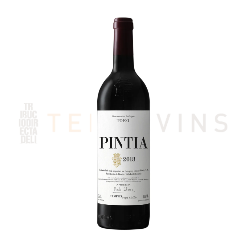 Pintia 2020