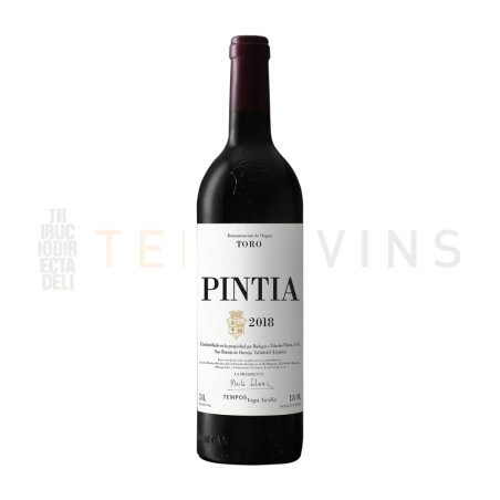 Pintia 2020