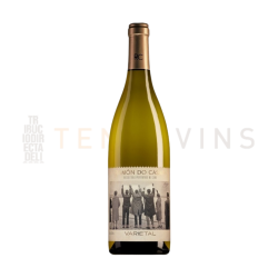 ▷ Comprar Vino Ramon Do Casar Varietal 2024 | TENDAVINS 【ENVÍO 24H】