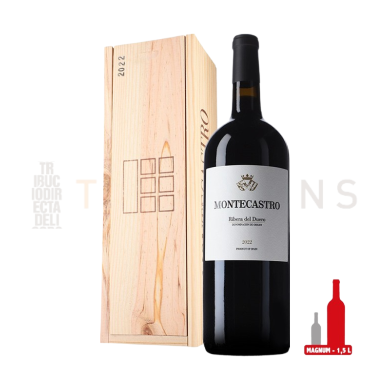 ▷ Comprar Magnum Montecastro 2022 | TENDAVINS 【ENVÍO 24H】